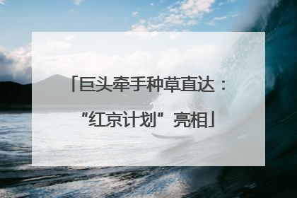 巨头牵手种草直达：“红京计划”亮相