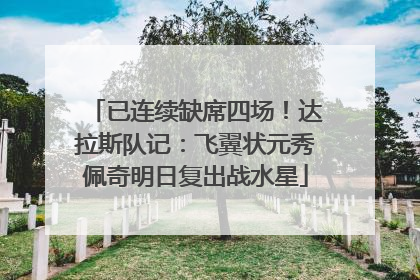 已连续缺席四场！达拉斯队记：飞翼状元秀佩奇明日复出战水星
