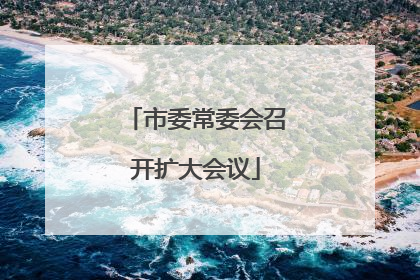市委常委会召开扩大会议