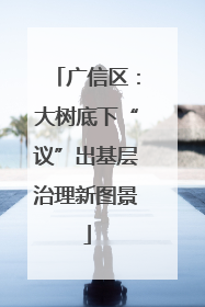 广信区：大树底下“议”出基层治理新图景