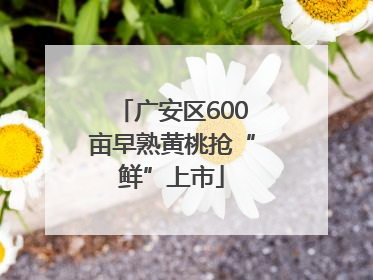 广安区600亩早熟黄桃抢“鲜”上市