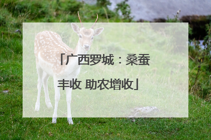 广西罗城：桑蚕丰收 助农增收