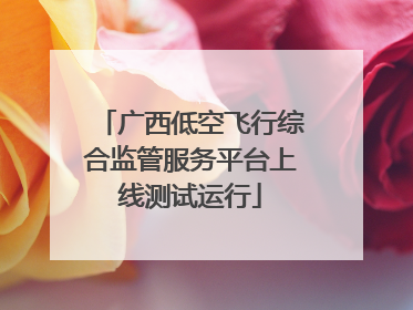 广西低空飞行综合监管服务平台上线测试运行