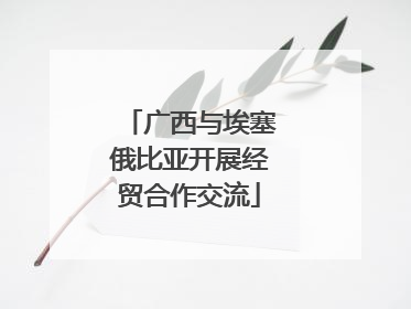 广西与埃塞俄比亚开展经贸合作交流