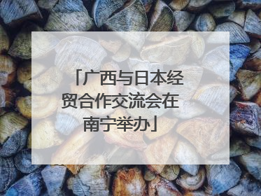 广西与日本经贸合作交流会在南宁举办