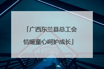 广西东兰县总工会情暖童心呵护成长