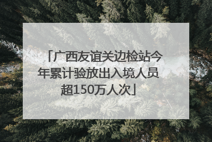 广西友谊关边检站今年累计验放出入境人员超150万人次