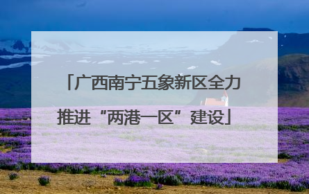 广西南宁五象新区全力推进“两港一区”建设