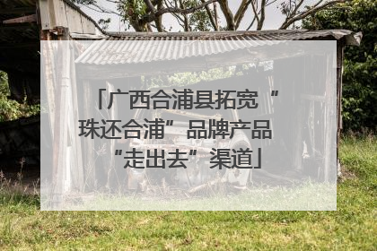 广西合浦县拓宽“珠还合浦”品牌产品“走出去”渠道