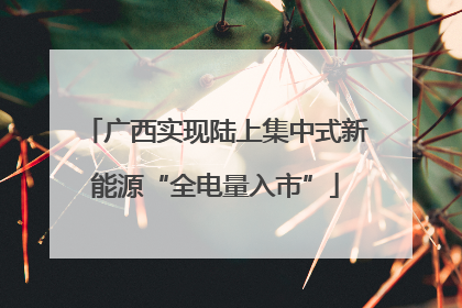 广西实现陆上集中式新能源“全电量入市”