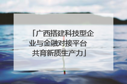 广西搭建科技型企业与金融对接平台 共育新质生产力