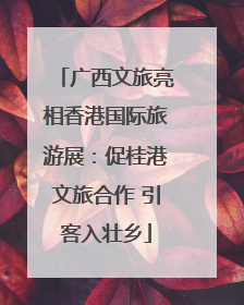广西文旅亮相香港国际旅游展：促桂港文旅合作 引客入壮乡