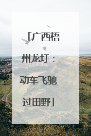 广西梧州龙圩：动车飞驰过田野