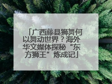 广西藤县狮舞何以舞动世界？海外华文媒体探秘“东方狮王”炼成记