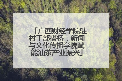 广西财经学院驻村干部搭桥，新闻与文化传播学院赋能油茶产业振兴