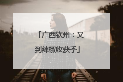 广西钦州：又到辣椒收获季