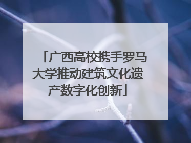 广西高校携手罗马大学推动建筑文化遗产数字化创新