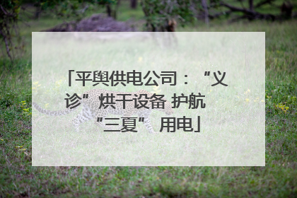 平舆供电公司：“义诊”烘干设备 护航 “三夏” 用电