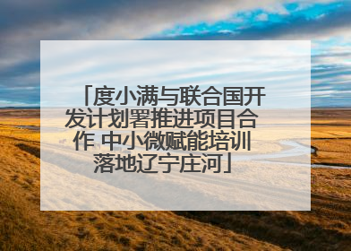 度小满与联合国开发计划署推进项目合作 中小微赋能培训落地辽宁庄河