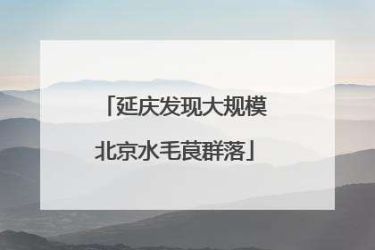 延庆发现大规模北京水毛茛群落