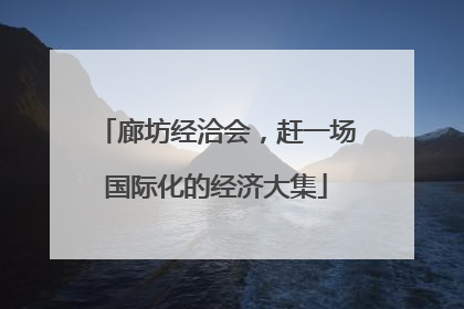 廊坊经洽会，赶一场国际化的经济大集