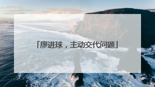 廖进球，主动交代问题