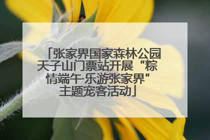 张家界国家森林公园天子山门票站开展“粽情端午·乐游张家界”主题宠客活动