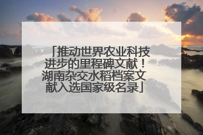 推动世界农业科技进步的里程碑文献！湖南杂交水稻档案文献入选国家级名录