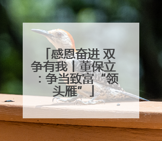 感恩奋进 双争有我丨董保立：争当致富“领头雁”