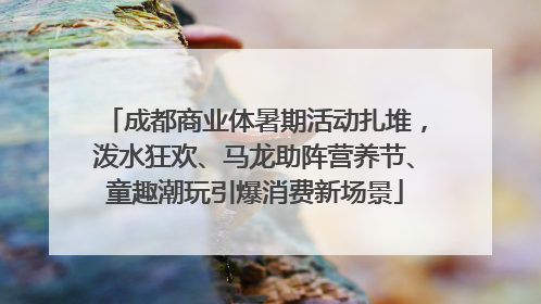 成都商业体暑期活动扎堆，泼水狂欢、马龙助阵营养节、童趣潮玩引爆消费新场景