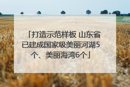 打造示范样板 山东省已建成国家级美丽河湖5个、美丽海湾6个