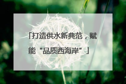 打造供水新典范，赋能“品质西海岸”