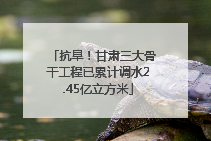 抗旱！甘肃三大骨干工程已累计调水2.45亿立方米