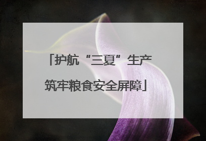 护航“三夏”生产 筑牢粮食安全屏障
