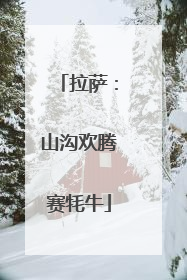 拉萨：山沟欢腾赛牦牛