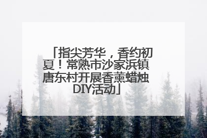 指尖芳华，香约初夏！常熟市沙家浜镇唐东村开展香薰蜡烛DIY活动