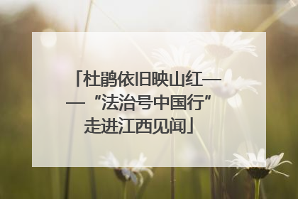 杜鹃依旧映山红——“法治号中国行”走进江西见闻