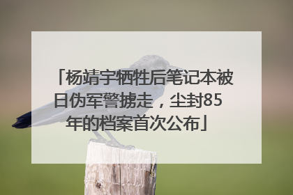 杨靖宇牺牲后笔记本被日伪军警掳走，尘封85年的档案首次公布