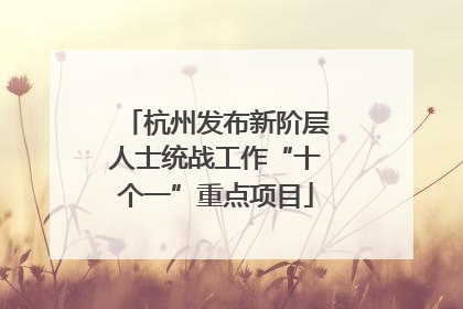 杭州发布新阶层人士统战工作“十个一”重点项目