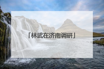 林武在济南调研