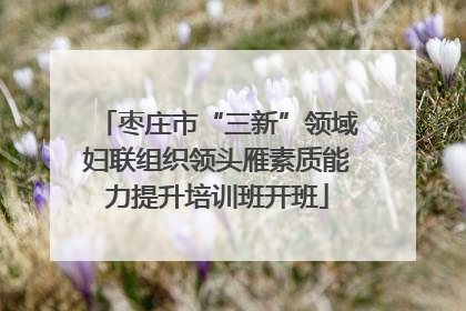 枣庄市“三新”领域妇联组织领头雁素质能力提升培训班开班