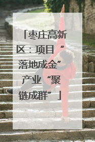 枣庄高新区：项目“落地成金” 产业“聚链成群”