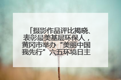 摄影作品评比揭晓、表彰最美基层环保人，黄冈市举办“美丽中国我先行”六五环境日主题宣传活动