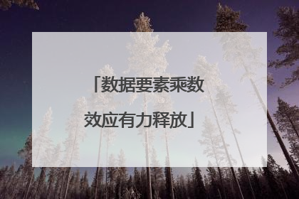 数据要素乘数效应有力释放
