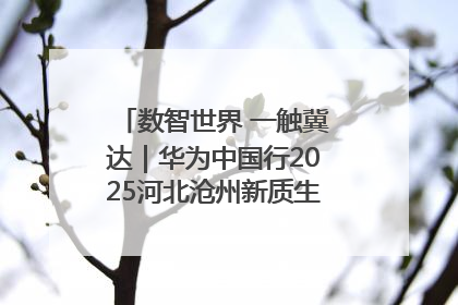 数智世界 一触冀达｜华为中国行2025河北沧州新质生产力峰会成功举办