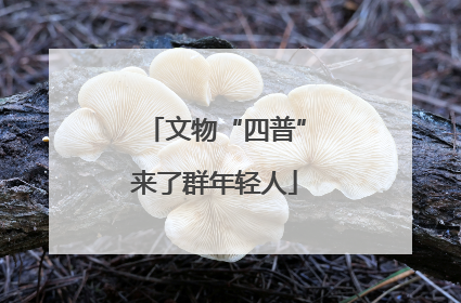 文物“四普”来了群年轻人