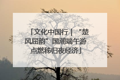 文化中国行｜“楚风屈韵”国潮端午游点燃秭归夜经济