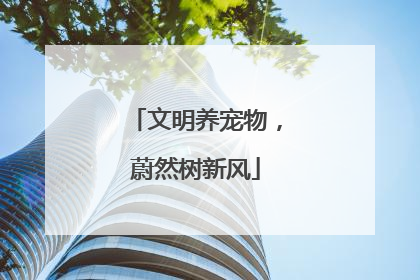 文明养宠物，蔚然树新风