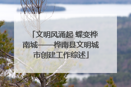 文明风涌起 蝶变桦南城——桦南县文明城市创建工作综述