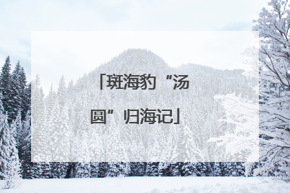斑海豹“汤圆”归海记